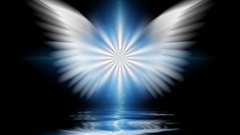 "WINGS OF LIGHT" REIKI MASTER PROGRAM - RECEIVE YOUR SPIRITUAL WINGS