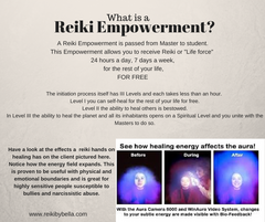 "WINGS OF LIGHT" REIKI MASTER PROGRAM - RECEIVE YOUR SPIRITUAL WINGS