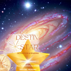 Destined Love Soul Mate Twin Flame Reading & Reiki Destiny Star Activation for Awakening Star Seeds